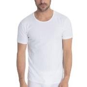 Calida Pure and Style T-shirt Hvit bomull Large Herre