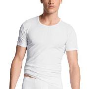 Calida Pure and Style T-shirt Hvit bomull XX-Large Herre