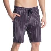 Calida Remix Basic Shorts Stripet bomull Large Herre
