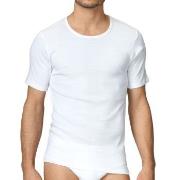 Calida Cotton 1 T-Shirt 14310 Hvit 001 bomull Medium Herre
