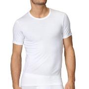 Calida Evolution T-Shirt 14661 Hvit 001 bomull Small Herre