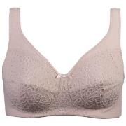 Damella BH Classic Soft Lace Bra Pudder B 75 Dame