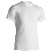 Dovre Singel Jersey T-Shirt Hvit bomull XX-Large Herre