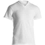 Dovre Single Jersey  V-neck T-Shirt Hvit bomull X-Large Herre