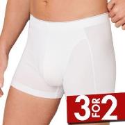 Schiesser 95-5 Organic Cotton Shorts Hvit økologisk bomull X-Large Her...