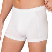 Schiesser 95-5 Organic Cotton Shorts Hvit økologisk bomull XX-Large He...