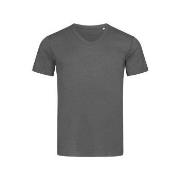 Stedman Ben V-neck For Men Mørkgrå  ringspunnet bomull Large Herre
