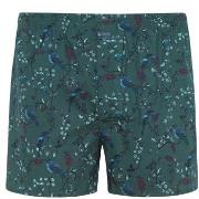 Jockey Woven Poplin Boxer Shorts Grønn bomull X-Large Herre