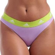 adidas Truser 3P Sport Cotton Logo Thong Lilla/Svart bomull Large Dame