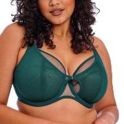 Elomi BH Kintai Underwire Plunge Bra Mørkgrørnn  J 95 Dame