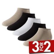Schiesser Strømper 5P Men Sneaker Socks Multi-colour-2 Str 39/42 Herre