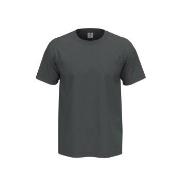 Stedman 4P Comfort Men T-shirt Grå bomull 3XL Herre