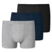 Schiesser 3P 95-5 Essential Shorts Mixed bomull 4XL Herre