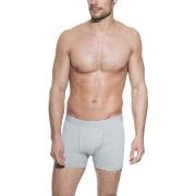 Bread and Boxers Boxer Brief 3P Grå økologisk bomull Medium Herre