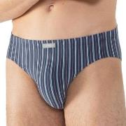 Mey Varied Stripe Jazz Briefs Mixed bomull Medium Herre