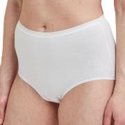 Decoy Truser 5P Maxi Briefs Hvit økologisk bomull Medium Dame