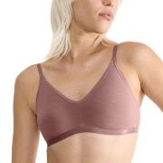 Sloggi BH GO Daily Cotton Soft Bra Mørkrosa XX-Large Dame
