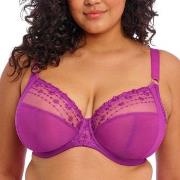 Elomi BH Matilda Underwired Plunge Bra Fuchsia/Lilla J 80 Dame