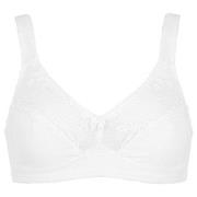 Damella BH Felice Soft Bra Hvit bomull C 75 Dame