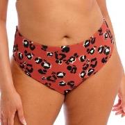 Elomi Kotiya Mid Rise Bikini Brief Oransje/Svart 46 Dame