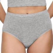 Triumph Truser Beauty Layers Wool Maxi Brief Grå ull X-Large Dame