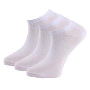 Trofe Cotton Sneaker Socks Strømper 6P Hvit Str 43/46 Dame