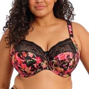 Elomi BH Morgan Banded Bra Blomstret K 75 Dame