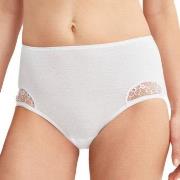 Calida Truser Desire Midi Brief Hvit bomull Medium Dame