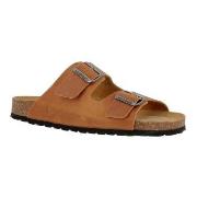 Axelda Andrea Kamel Str 42