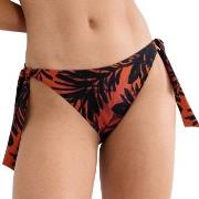 Triumph Summer Palm Tai Bikini Bottom Mixed 36 Dame