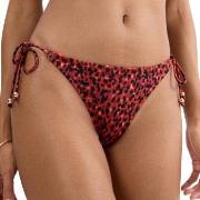 Triumph Midnight Swim Brazilian Bikini Bottom Rød/Svart 38 Dame