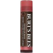 Burt's Bees Tinted Lip Balm Hibiscus - 4,2 g