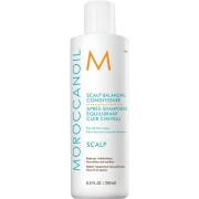 Moroccanoil Scalp Balancing Conditioner 250 ml