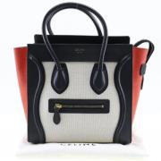 Pre-owned Flerfarget skinn Celine Bagasje