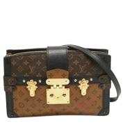 Pre-owned Brunt skinn Louis Vuitton Clutch