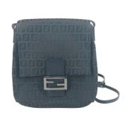 Pre-owned Fabric fendi-bags