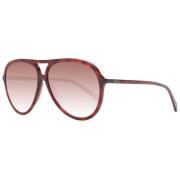 Brun Dame Solbriller Aviator Stil Gradient Linse