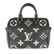 Pre-owned Leather louis-vuitton-bags