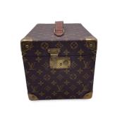 Pre-owned Leather louis-vuitton-bags