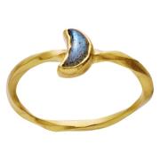 Moon Hunter Labradoritt Gull Ring