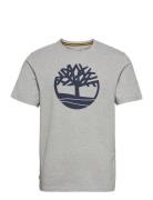 Kennebec River Tree Logo Short Sleeve Tee Medium Grey Heather Grey Tim...