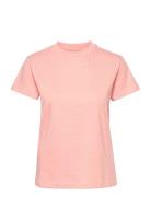 Casual Tomorrow Tee Pink Tomorrow