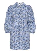 Aggis My Blue Stella Nova