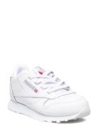 Cl Lthr White Reebok Classics