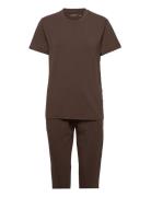 Anf Mens Sleep Brown Abercrombie & Fitch