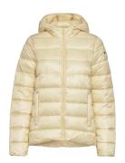 Hooded Polyfilled Jacket Cream Champion