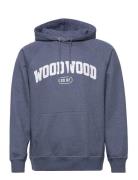 Fred Ivy Hoodie Blue Wood Wood