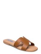 Zarnia Sandal Brown Steve Madden