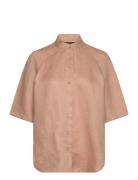 Shirts Brown Armani Exchange