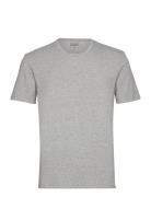 Bamboo Tee Grey Frank Dandy